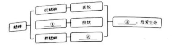 图片16