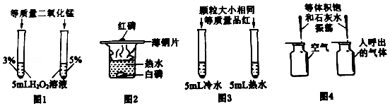 学科网(www.zxxk.com)--教育资源门户，提供试卷、教案、课件、论文、素材及各类教学资源下载，还有大量而丰富的教学相关资讯！