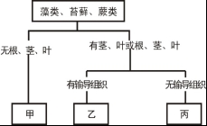 學科網(www.zxxk.com)--教育資源門戶，提供試卷、教案、課件、論文、素材及各類教學資源下載，還有大量而豐富的教學相關資訊！