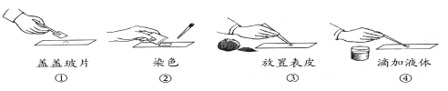 學科網(www.zxxk.com)--教育資源門戶，提供試卷、教案、課件、論文、素材及各類教學資源下載，還有大量而豐富的教學相關資訊！