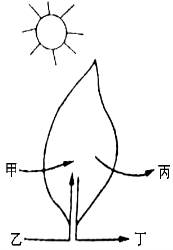 學科網(www.zxxk.com)--教育資源門戶，提供試卷、教案、課件、論文、素材及各類教學資源下載，還有大量而豐富的教學相關資訊！