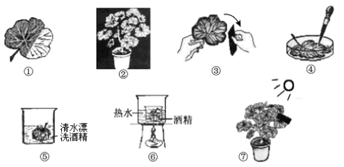 学科网(www.zxxk.com)--教育资源门户，提供试卷、教案、课件、论文、素材及各类教学资源下载，还有大量而丰富的教学相关资讯！