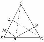 學科網(www.zxxk.com)--教育資源門戶，提供試卷、教案、課件、論文、素材及各類教學資源下載，還有大量而豐富的教學相關資訊！