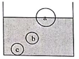 學(xué)科網(wǎng)(www.zxxk.com)--教育資源門戶，提供試卷、教案、課件、論文、素材及各類教學(xué)資源下載，還有大量而豐富的教學(xué)相關(guān)資訊！