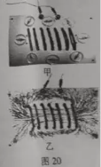 學(xué)科網(wǎng)(www.zxxk.com)--教育資源門戶，提供試卷、教案、課件、論文、素材及各類教學(xué)資源下載，還有大量而豐富的教學(xué)相關(guān)資訊！