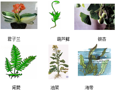 学科网(www.zxxk.com)--教育资源门户，提供试卷、教案、课件、论文、素材及各类教学资源下载，还有大量而丰富的教学相关资讯！