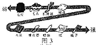 學科網(www.zxxk.com)--教育資源門戶，提供試卷、教案、課件、論文、素材及各類教學資源下載，還有大量而豐富的教學相關資訊！