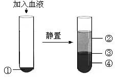 學科網(www.zxxk.com)--教育資源門戶，提供試卷、教案、課件、論文、素材及各類教學資源下載，還有大量而豐富的教學相關資訊！