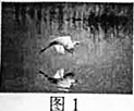 學(xué)科網(wǎng)(www.zxxk.com)--教育資源門戶，提供試卷、教案、課件、論文、素材及各類教學(xué)資源下載，還有大量而豐富的教學(xué)相關(guān)資訊！