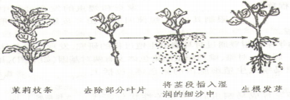 学科网(www.zxxk.com)--教育资源门户，提供试卷、教案、课件、论文、素材及各类教学资源下载，还有大量而丰富的教学相关资讯！