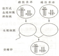 學科網(www.zxxk.com)--教育資源門戶，提供試卷、教案、課件、論文、素材及各類教學資源下載，還有大量而豐富的教學相關資訊！