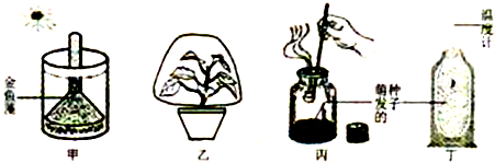 题目图片