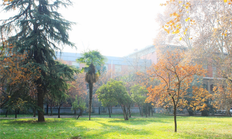 云硫一中 云硫一中