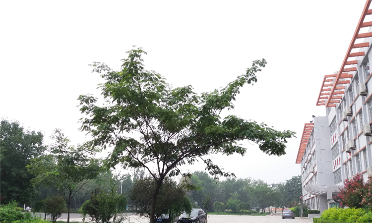 阳信县第二高级中学 阳信县第二高级中学