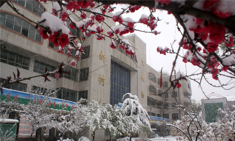 阳泉市第十五中学