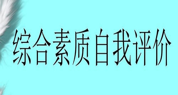 2018年铜陵市初中生综合素质评价工作