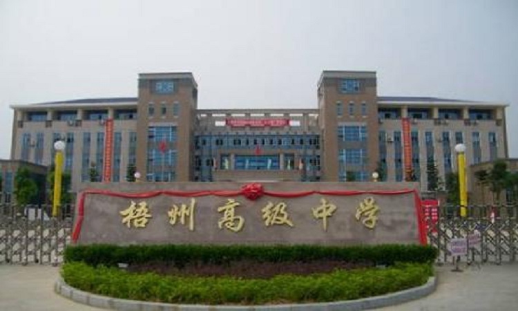 2018年梧州市高中排名 梧州市高中人气排行榜