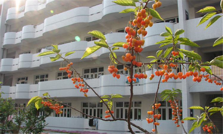 仙桃市东升高级中学