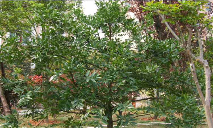 西宁市西建中英文学校