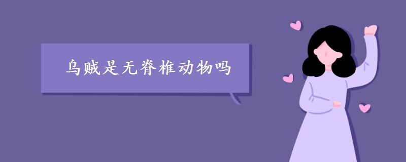 乌贼是无脊椎动物吗