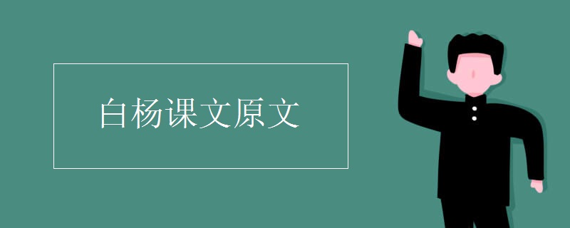 白杨课文原文
