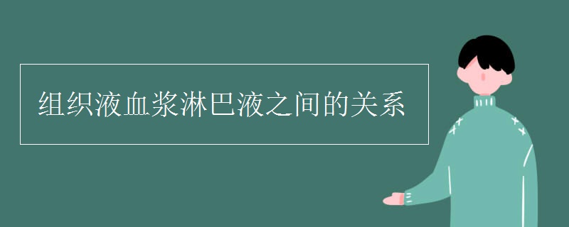 組織液血漿淋巴液之間的關系