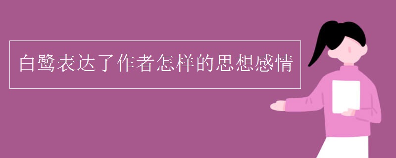 白鷺表達(dá)了作者怎樣的思想感情