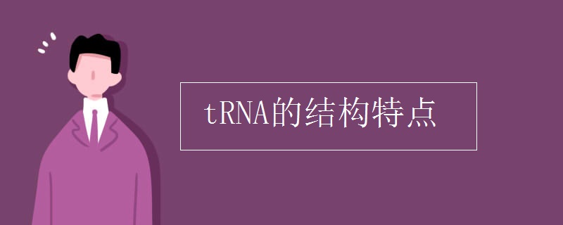 tRNA的结构特点