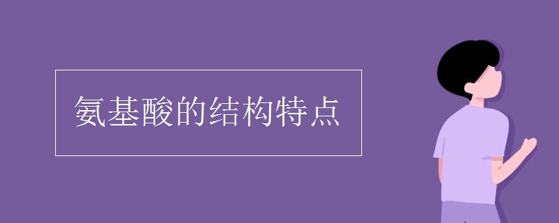 氨基酸的结构特点