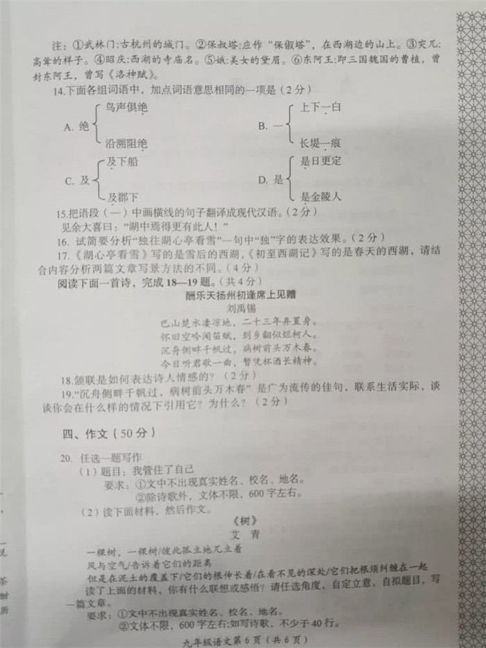河南洛阳2019-2020第一学期九年级期中考试真题及答案
