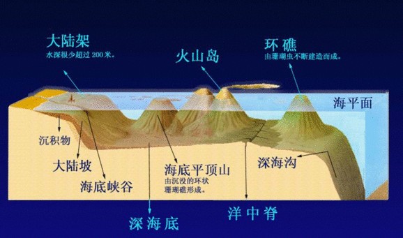 初中地理海底地形示意图