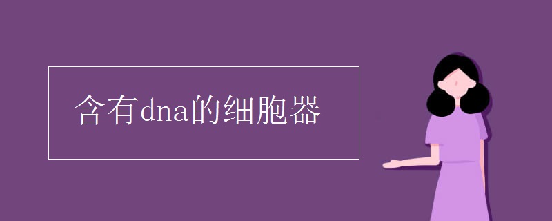 生物知识点：含有dna的细胞器