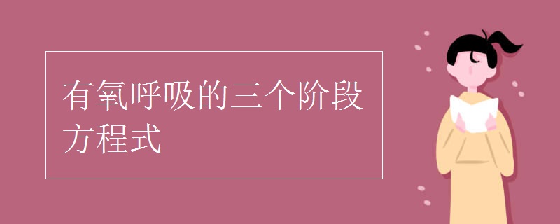 有氧呼吸的三个阶段方程式