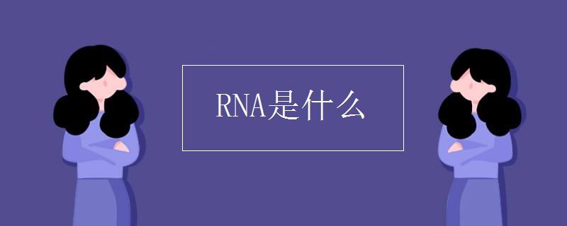 RNA是什么