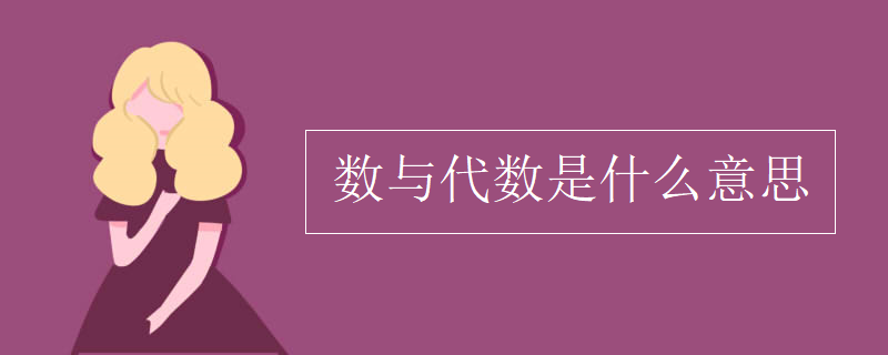 数与代数是什么意思