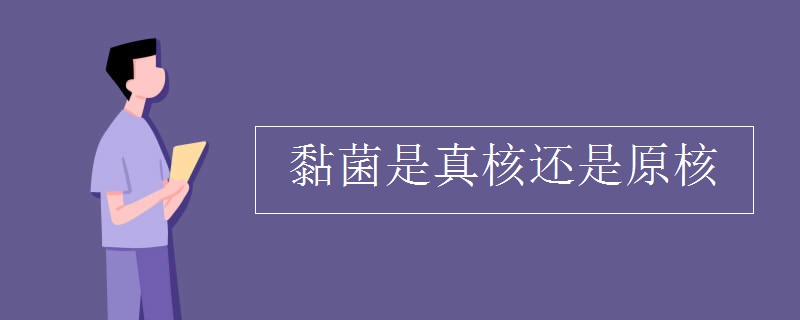 黏菌是真核还是原核