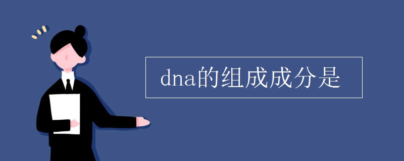 dna的组成成分是