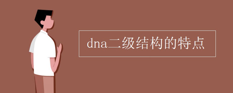 dna二级结构的特点