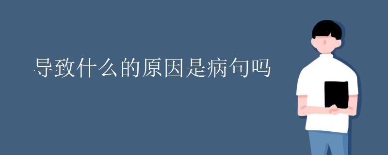 导致什么的原因是病句吗 导致什么的原因是病句吗