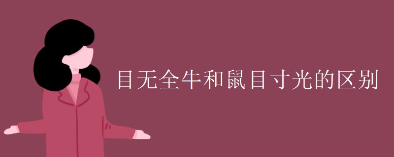 目无全牛和鼠目寸光的区别