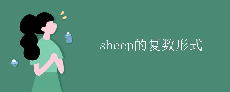 英语知识点：sheep的复数形式