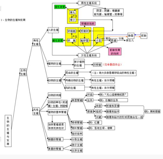 2021中考生物必考知识点结构图