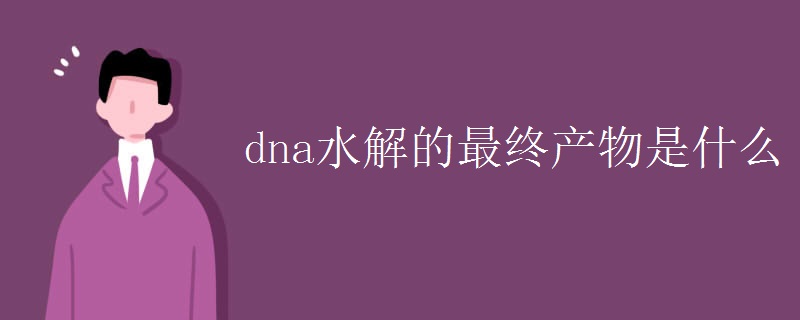 dna水解的最終產物是什么