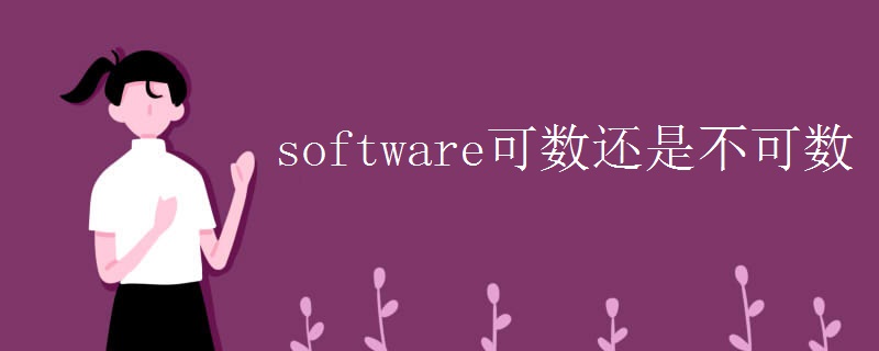 software可数还是不可数