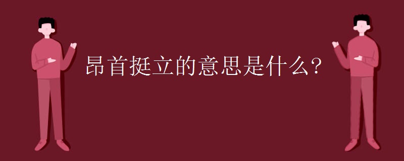 昂首挺立的意思是什么？