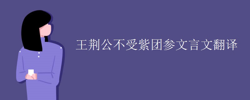 王荆公不受紫团参文言文翻译