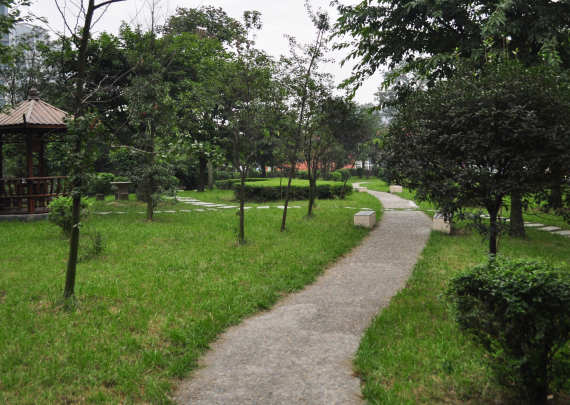 成都市洞子口职业高级中学环境