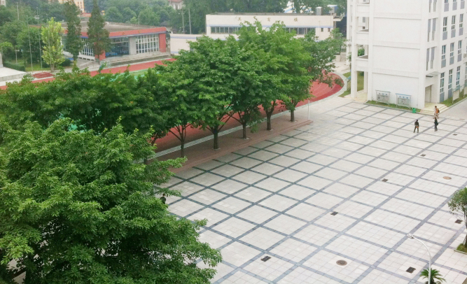 成都市洞子口职业高级中学环境