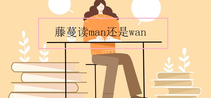 藤蔓讀man還是wan