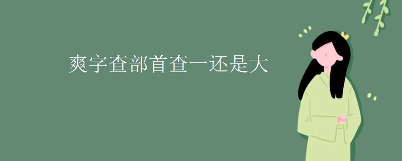 爽字查部首查一还是大